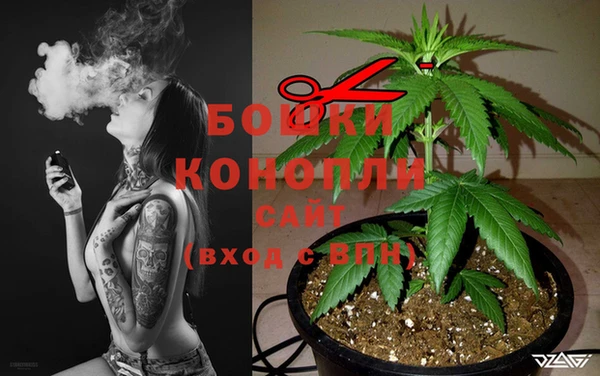 бутират Пролетарск