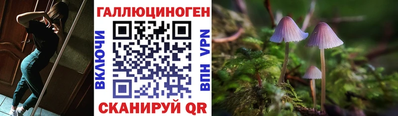 Галлюциногенные грибы Psilocybe Буинск