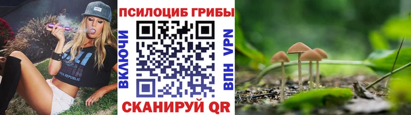 даркнет сайт  Буинск  Псилоцибиновые грибы MAGIC MUSHROOMS 